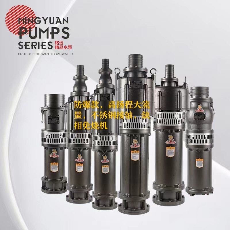 Explosion-Proof Large Flow Phase-Loss Protection Submersible Pump